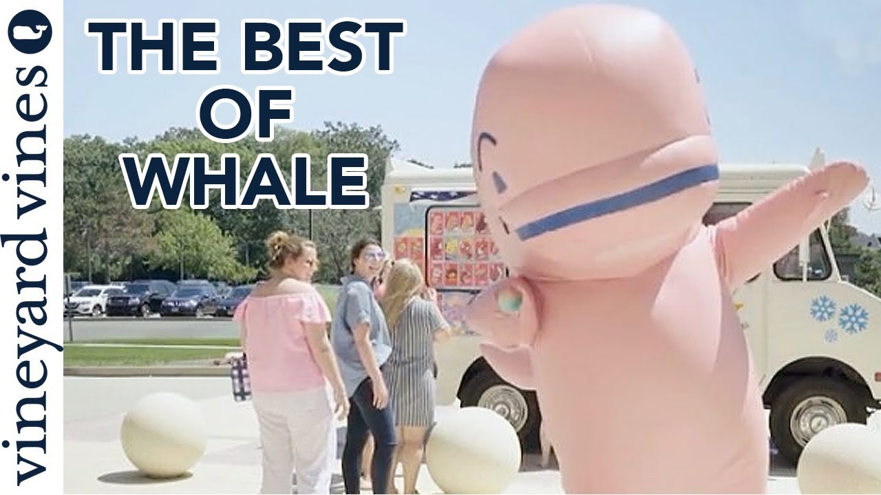 The Best of Whale Compilation | vineyard vines