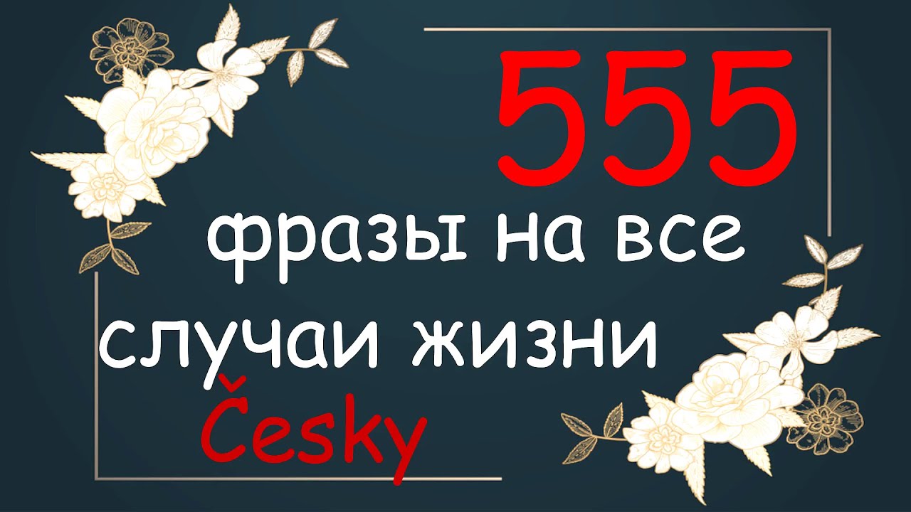 Чешские фразы на каждый день