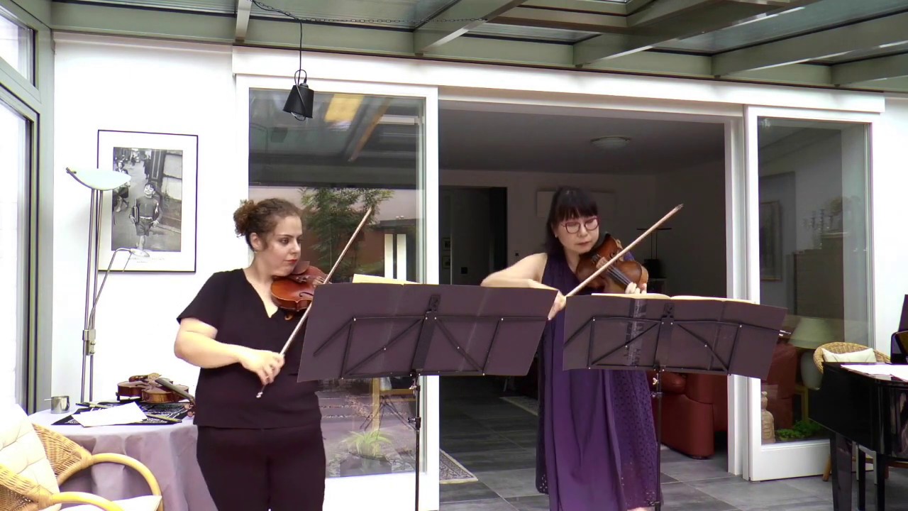 I.Pleyel Duo for two Violins Op.24 No.6