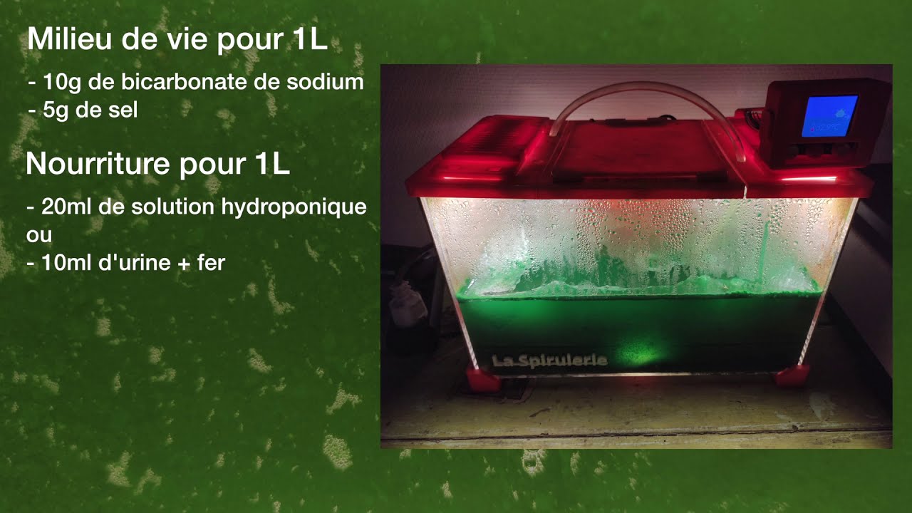 TUTO culture spiruline en bioréacteur SPIRULERIE
