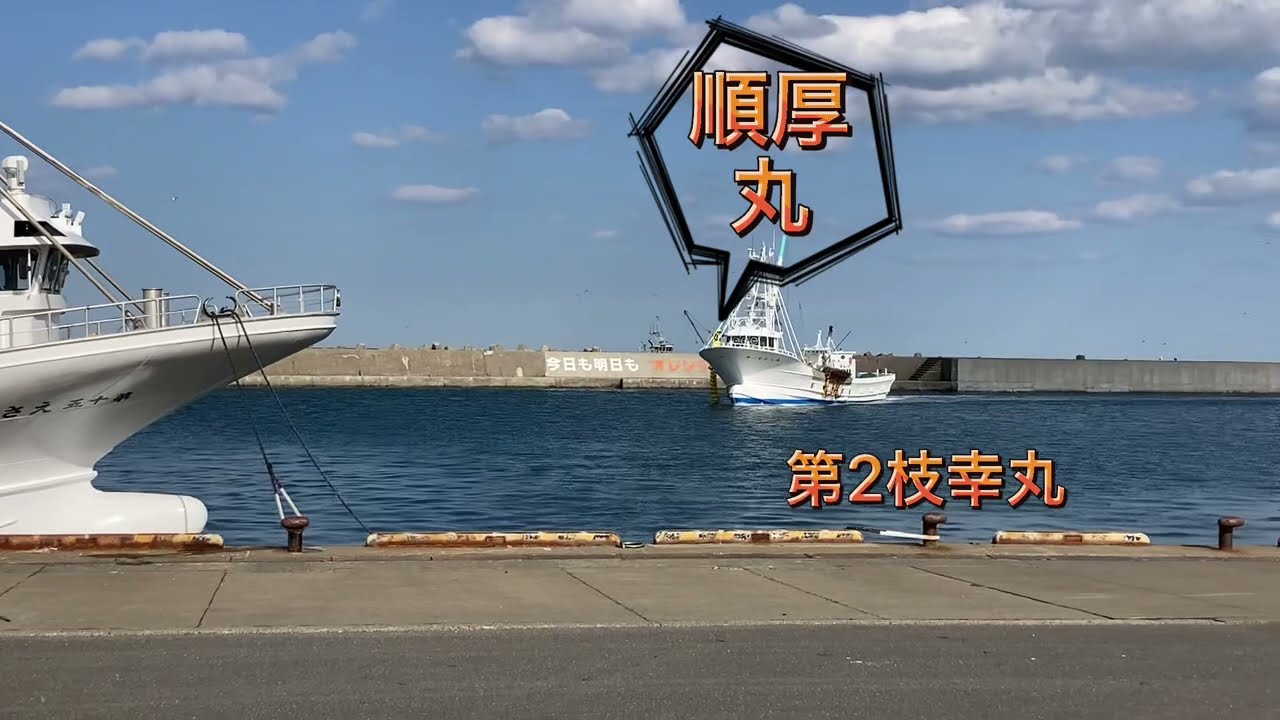 【帆立船入港】帆立を積みに乙忠部漁港に、そこで順厚丸の船頭からまさかの一言が