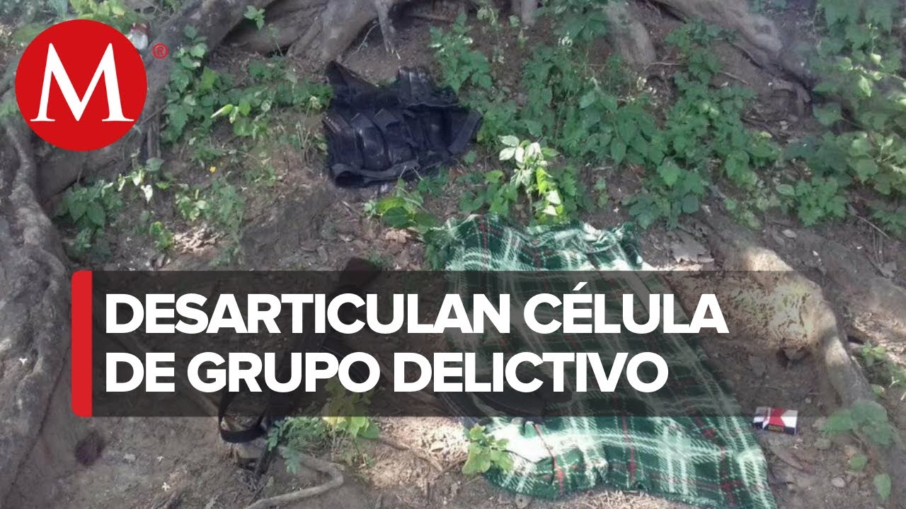 Desmantelan 'narcocampamento' en la Huasteca Potosina