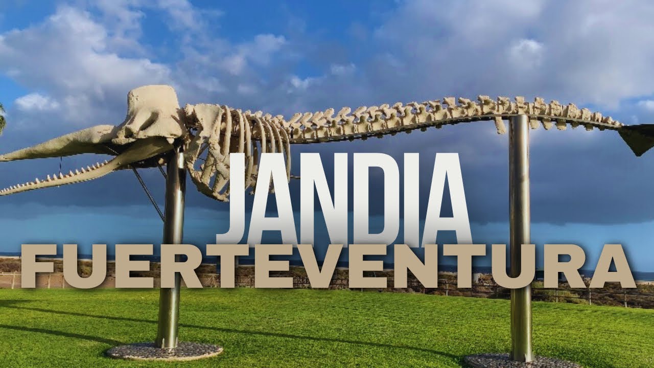 Jandia, Fuerteventura: Your Next Slice of Paradise! 🏝️✈️ Explore the Beauty! 