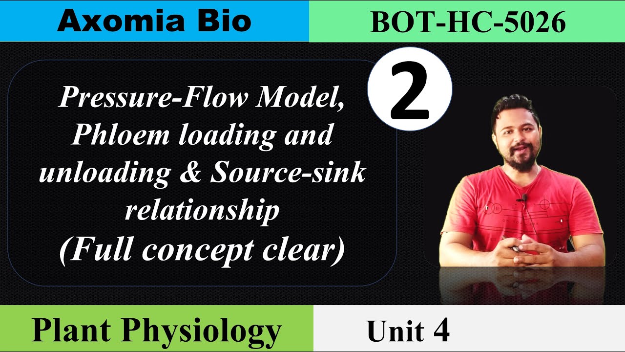 Pressure-Flow Model| Phloem loading and unloading| Source-sink relationship| 5th|Assamese|Axomia Bio