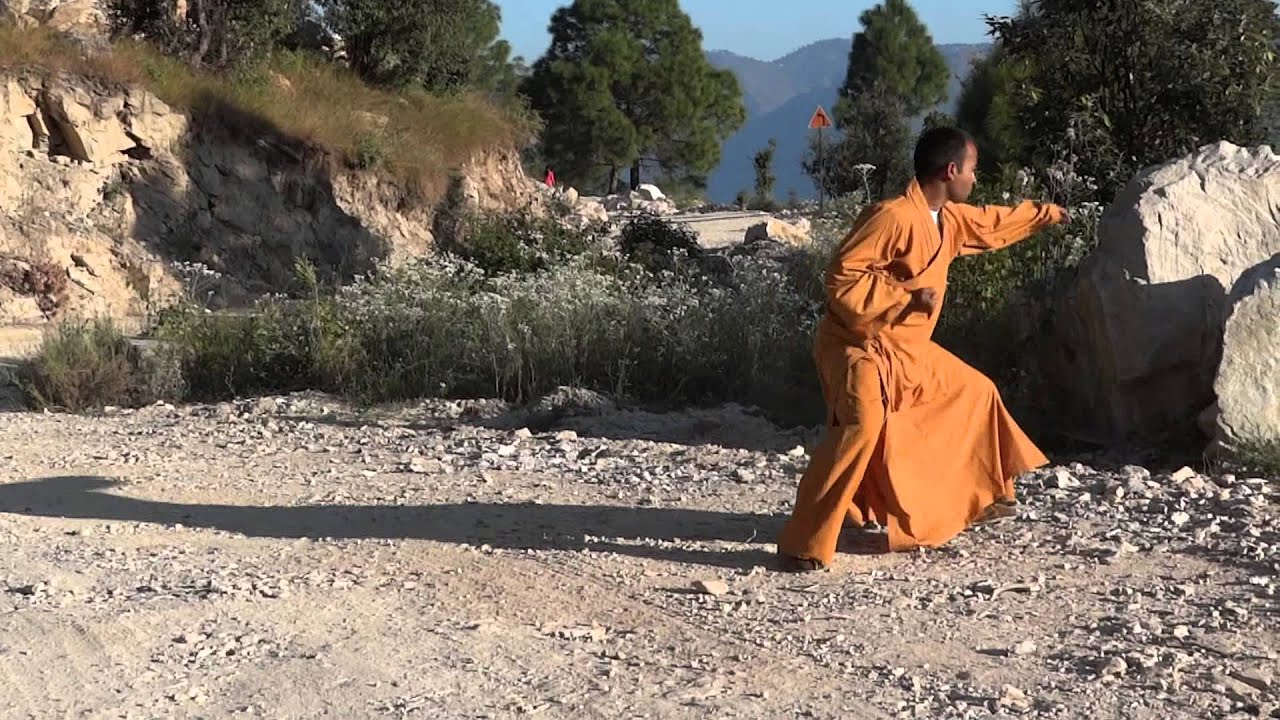 Shifu kanishka Shaolin Temple 18( Shiba) Luohan Quan