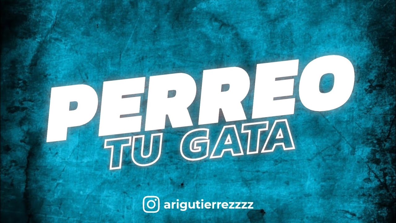 PERREO TU GATA - ARIGUTIERREZZZZ