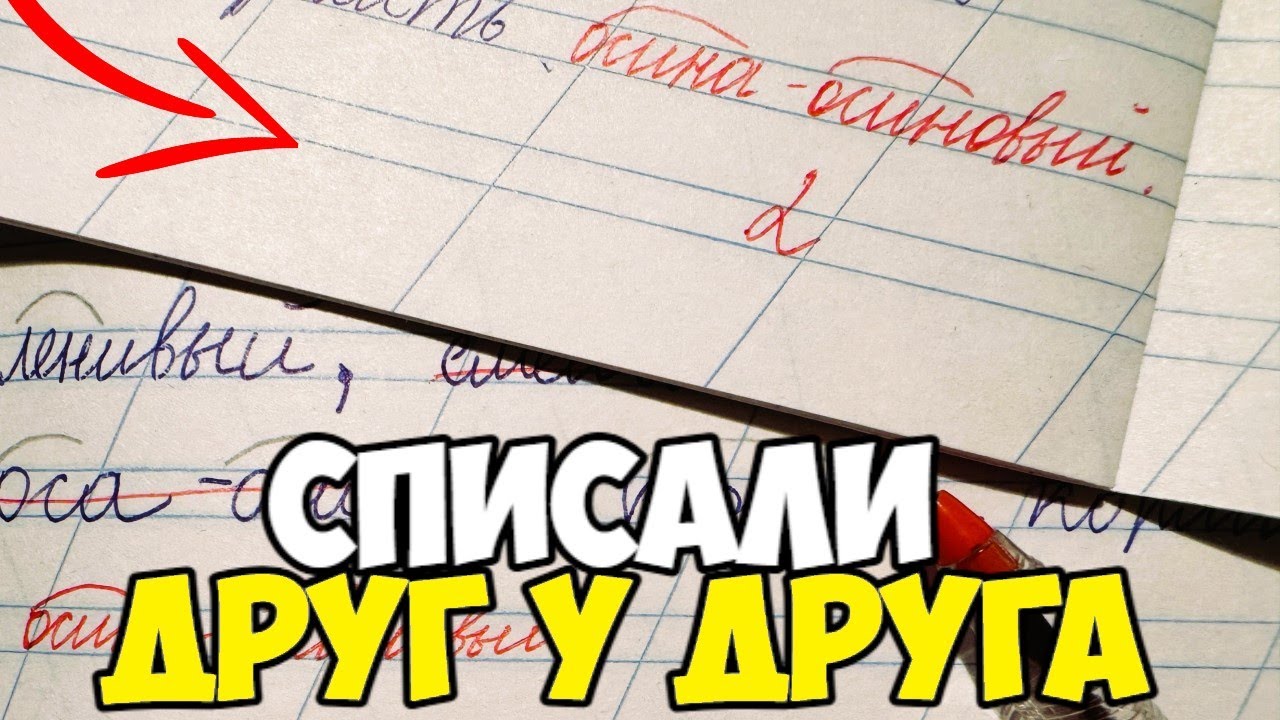 Проверяю рабочие тетради по русскому языку 2 класс. ОДИНАКОВЫЕ РАБОТЫ?