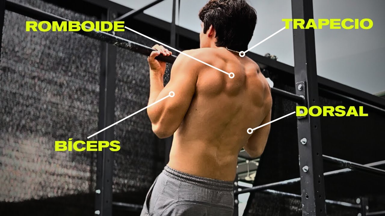 El MEJOR Entrenamiento de Espalda y Bíceps con Calistenia para Principiantes e Intermedios