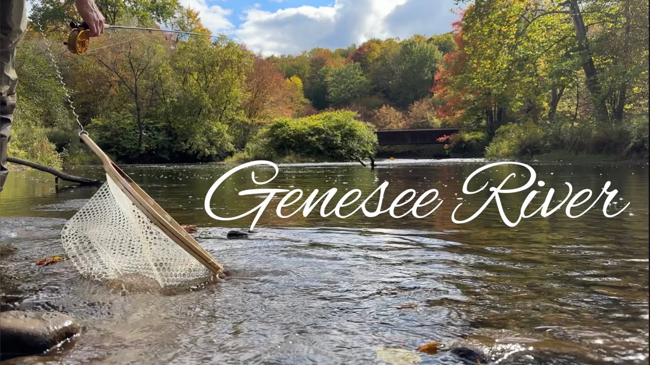 Genesee River| Fly fishing for Brown and Rainbow Trout