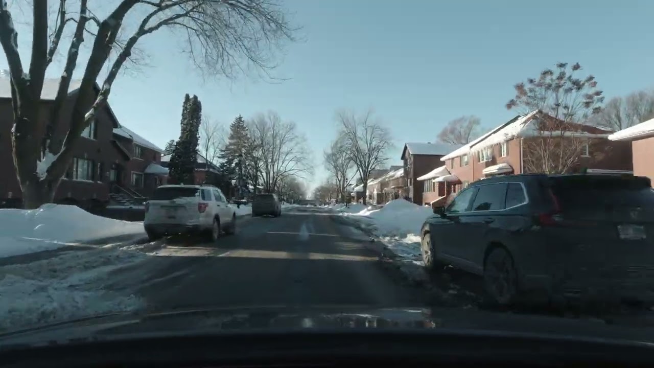 Quiet Streets of Montreal | Near My Home
