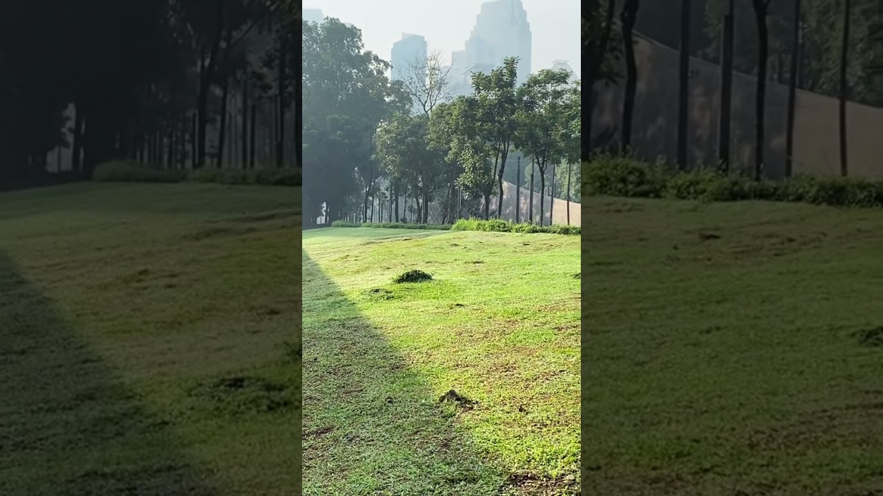 Lari pagi di Jakarta serasa Di TAMAN NEW YORK ✌️#running #visitjakarta #gelorabungkarno #jakartacity