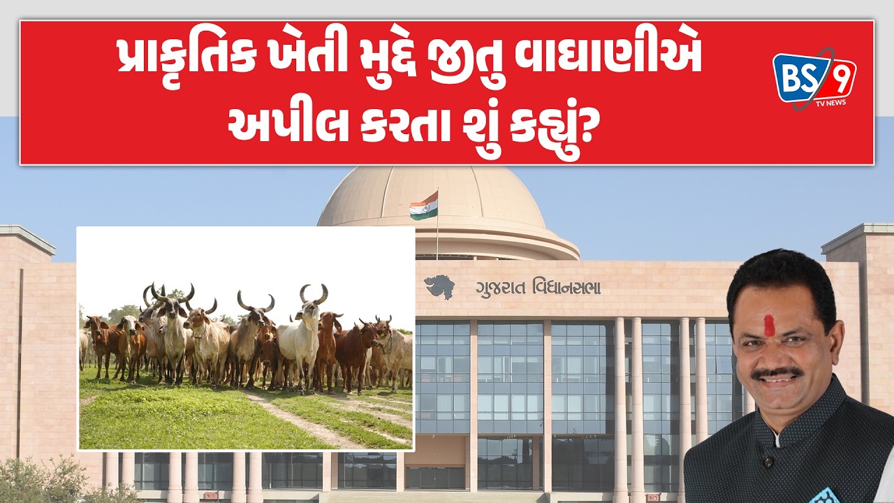 વિધાનસભા ગૃહમાં પ્રાકૃતિક ખેતી મુદ્દે  Jitu vaghaniએ શું અપીલ કરી? | BS9 TV NEWS