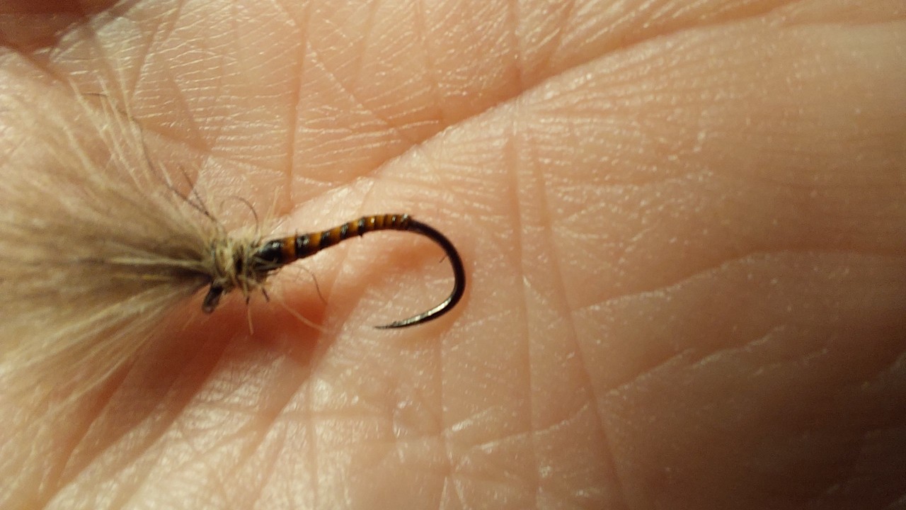 Fly fishing emergers in February.....Really?  Yes.....at New Haylie
