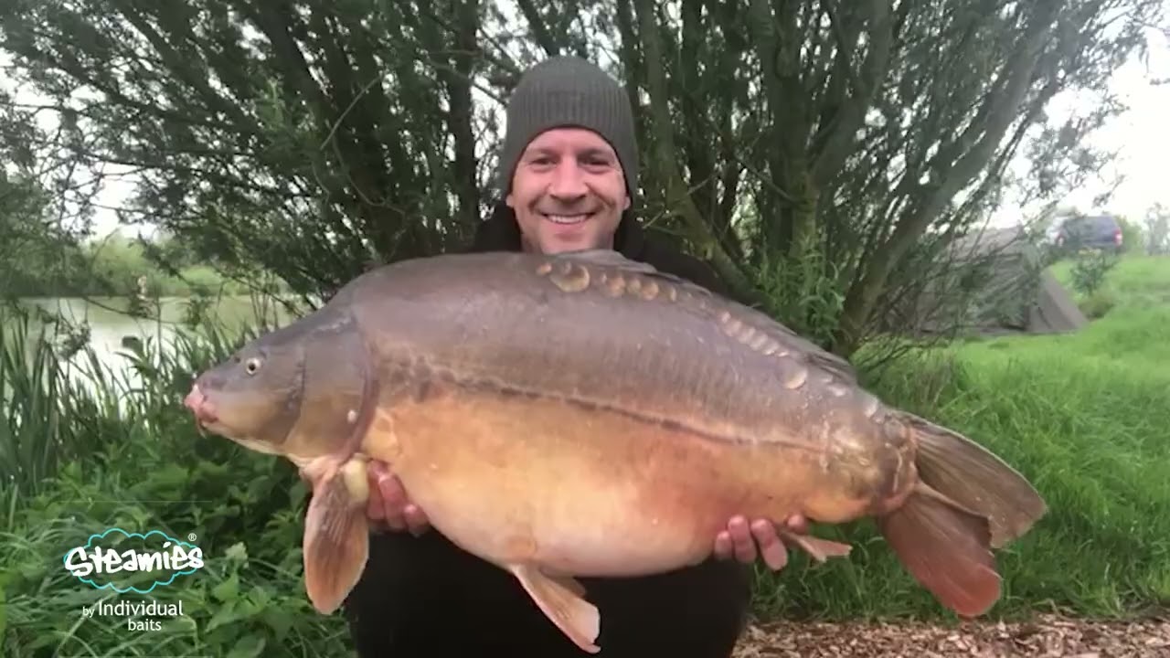 Coking farm (oak lake) Big mirror carp caught!