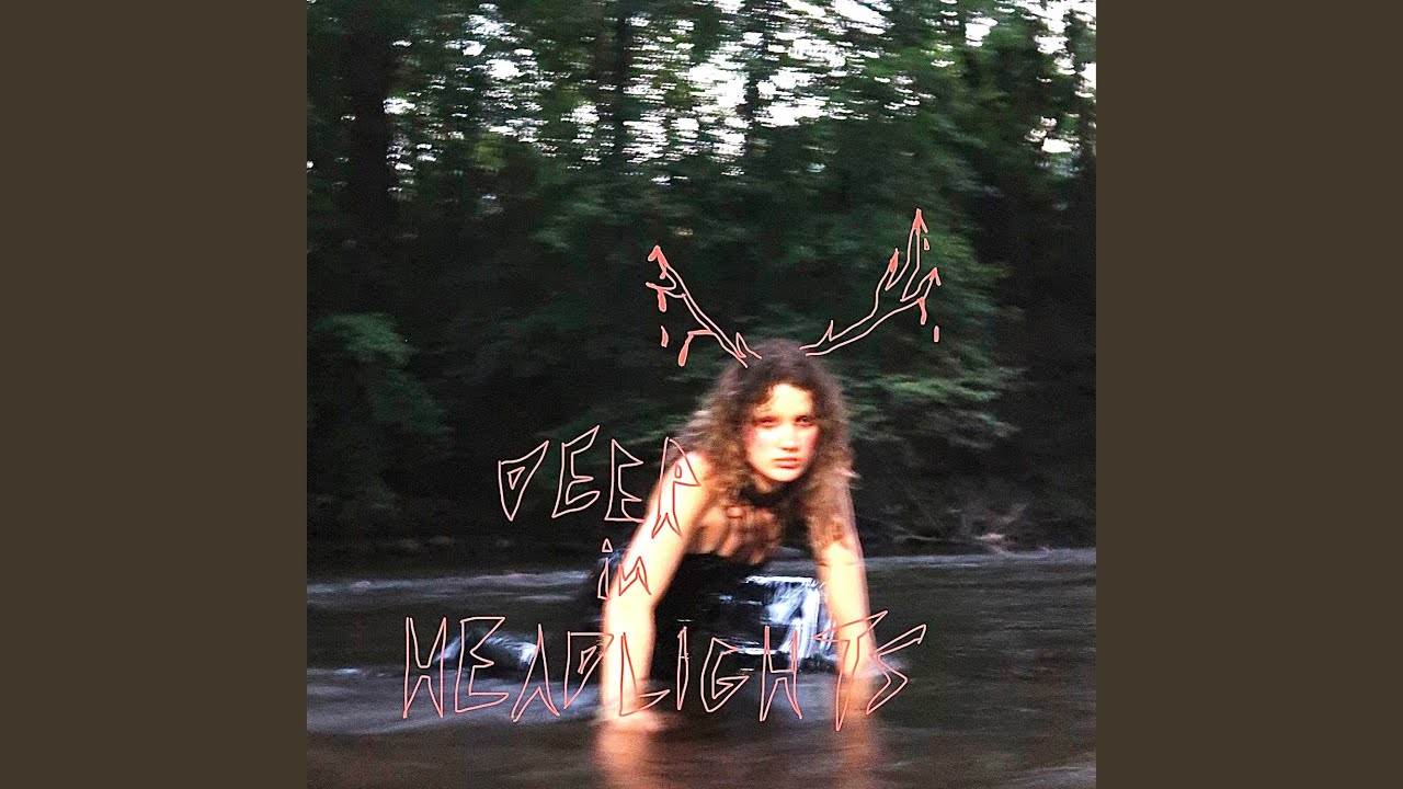 Deer in Headlights