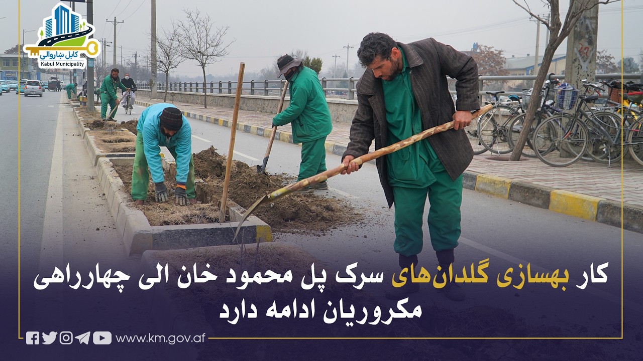له پُل محمود خان څخه تر مکروریان څلورلارې پورې د سړک د ګلدانونو د بیارغونې چارې روانې دي