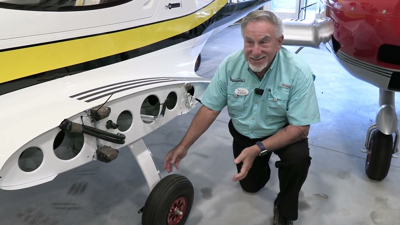 Bristlell, economical to run and Maintain,#aviation #flying #pilot, #Bristell