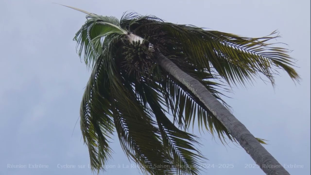 Cyclone sur Le Tampon à La Réunion - Saison cyclonique 2024-2025
