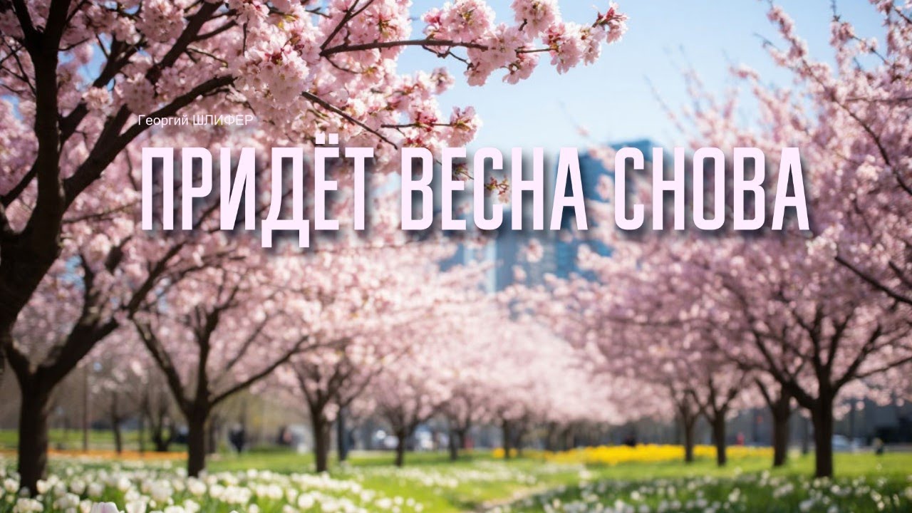 Георгий Шлифер 