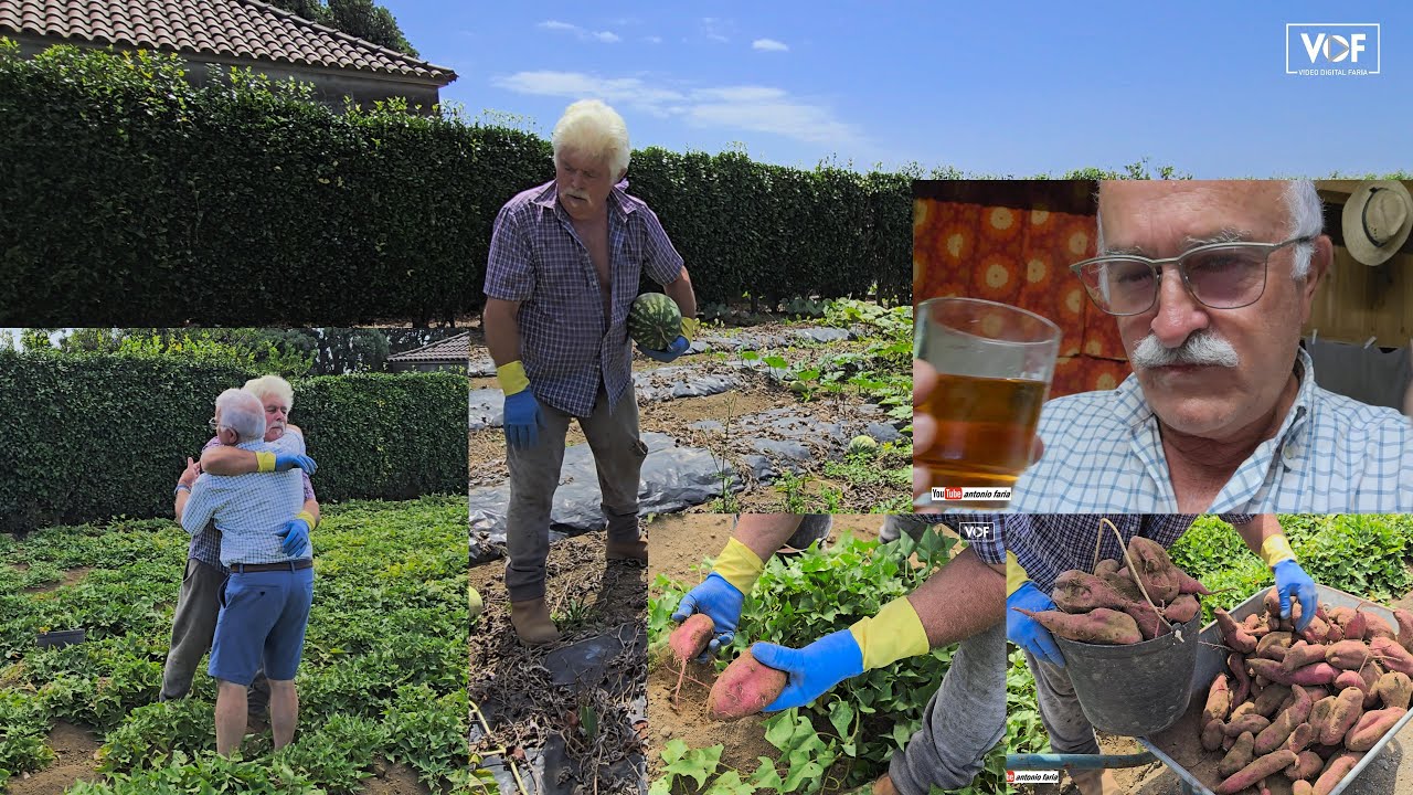 Reencontro com o Fernando Silva 26 Agosto 2025 Ilha Faial