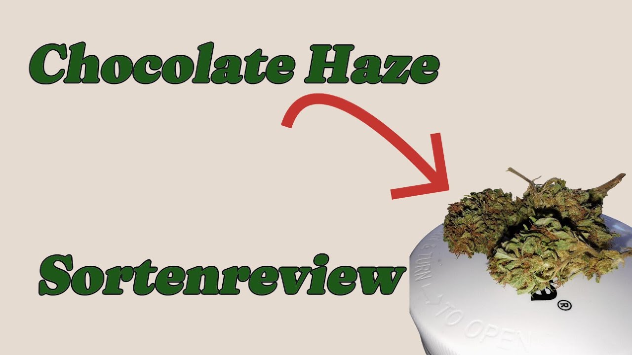 Cannabis Sortereview -  Chocolate Haze
