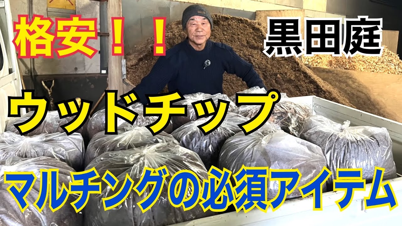 【必見】格安マルチングの秘密 2025 Kuroda's Residence