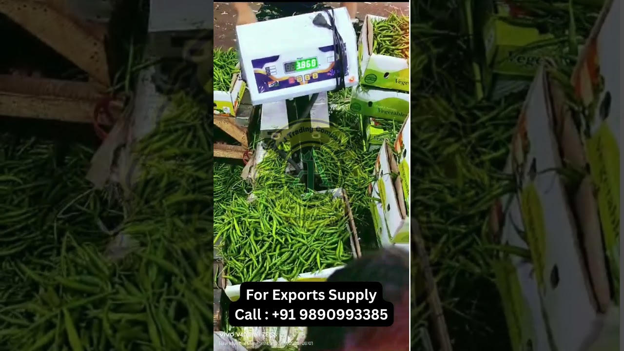 G4 Green Chilli Export - Premium Quality & Efficient Loading for International Shipping