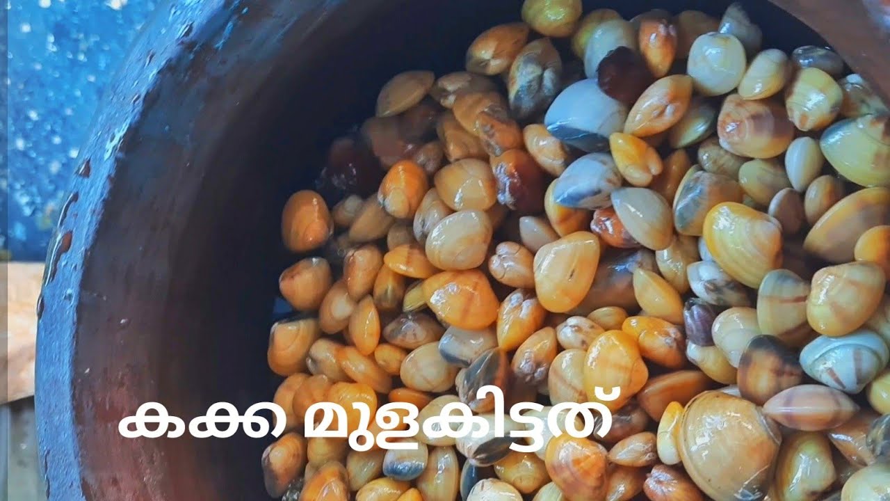 നല്ല എരുന്ത്, കക്ക  മുളകിട്ടത് |#shorts