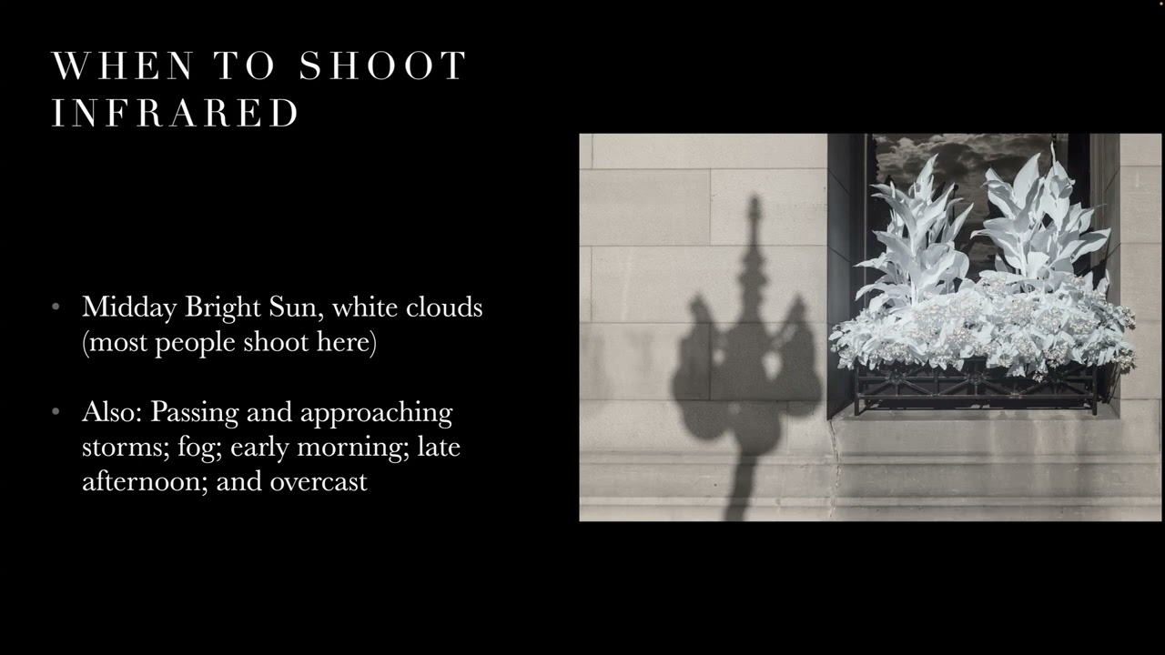 Webinar Replay: Discovering Infrared Photography