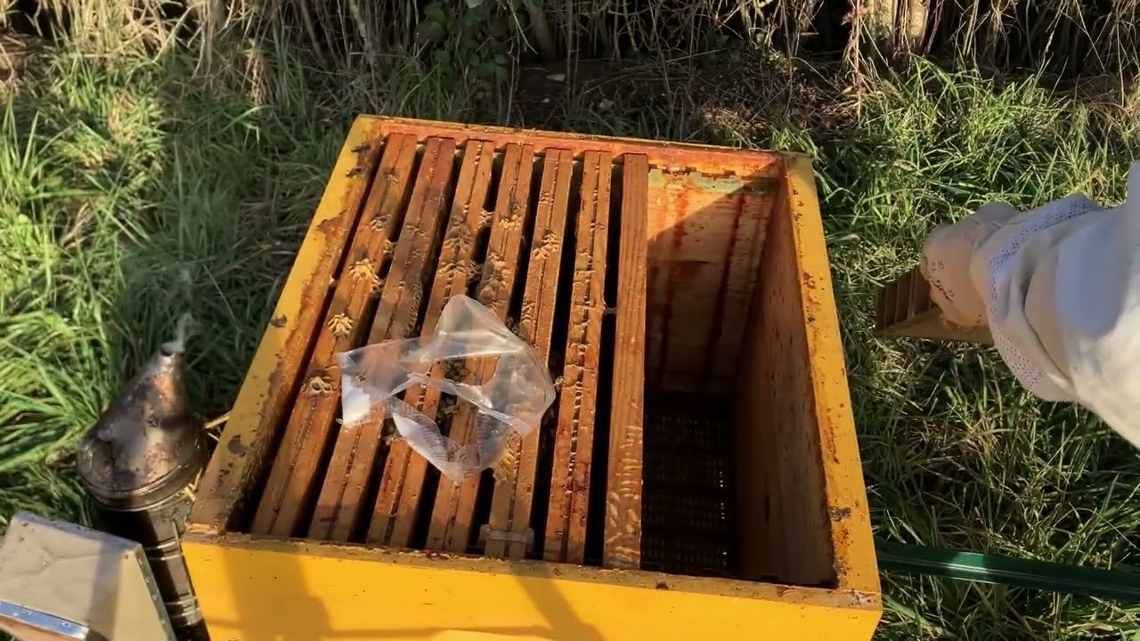 S05E02 | Aïe pour les colonies du jardin | LRSG #apiculture #abeilles #bee #beekeeper