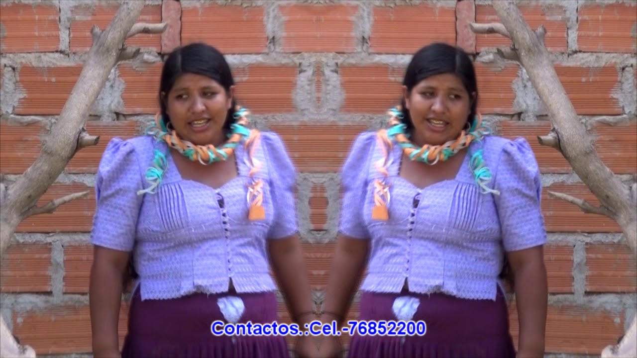 LISANDRO OCHOA TEMA CARNAVAL DE ZUDAÑEZ GREMA PRODUCCIONES CEL.73737385