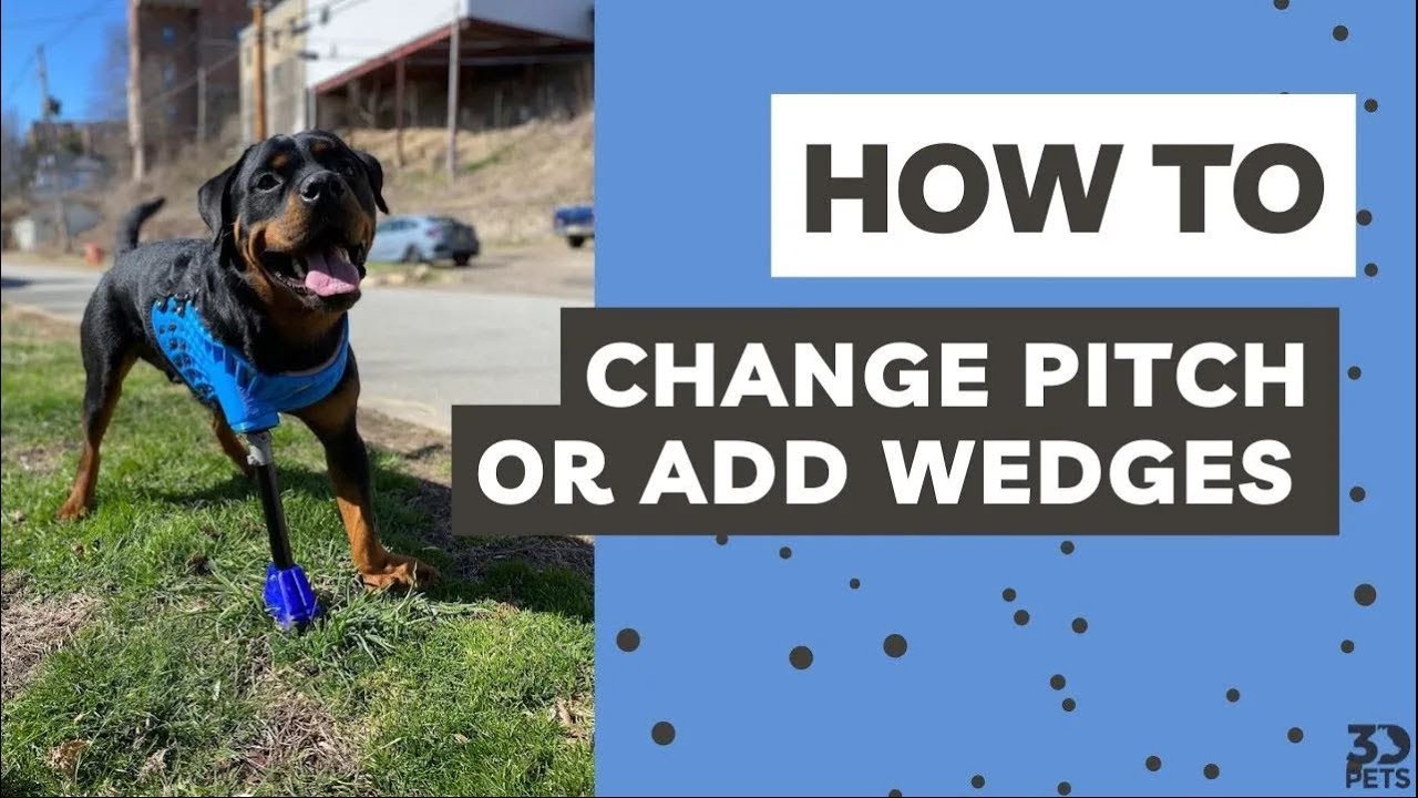 How to Adjust Your 3DPets Full-Limb Prosthesis