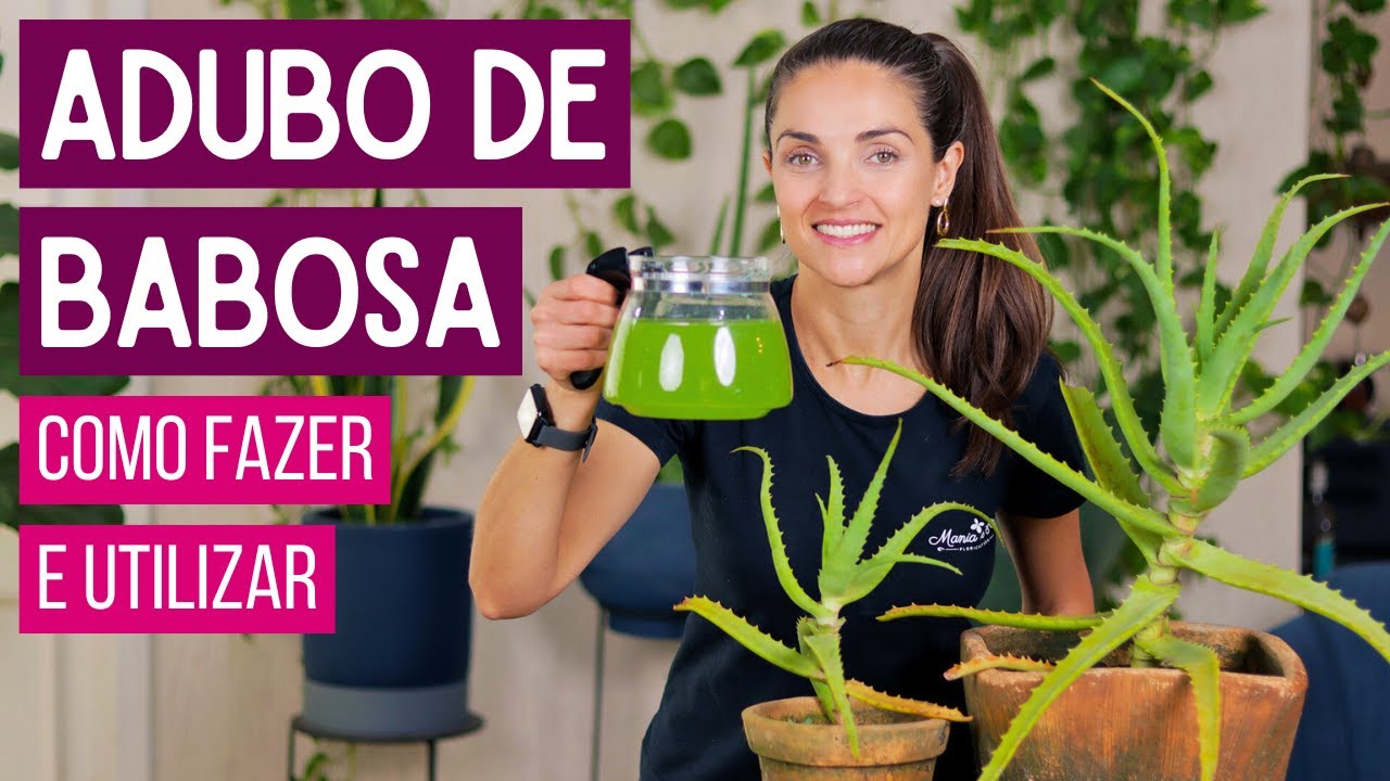 ADUBO CASEIRO de BABOSA 🌿 FÁCIL de FAZER e EXCELENTE para SUAS PLANTAS