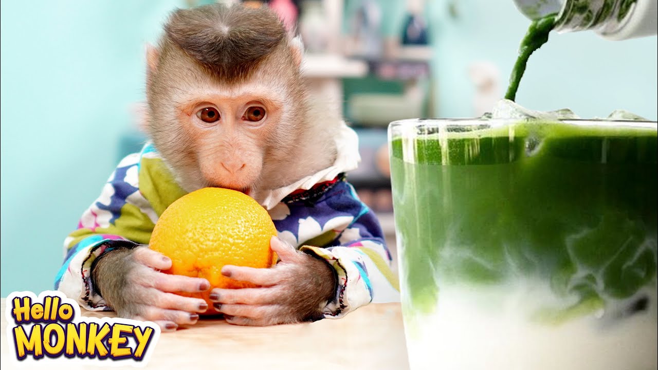 Bobo Knows How To Make Matcha Green Tea With Fresh Milk So Delicious 🍵