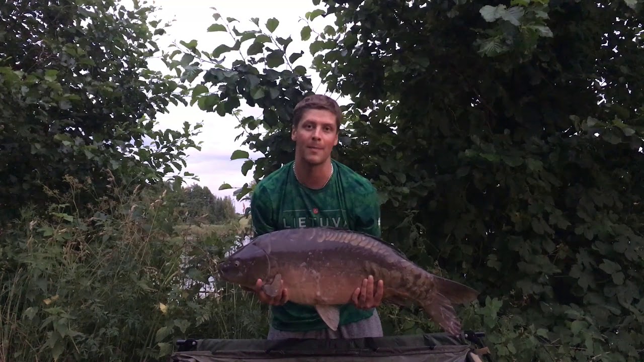 Karpių žvejyba - Punia , DidelėsŽuvys.lt # Carp fishing in  - Punia