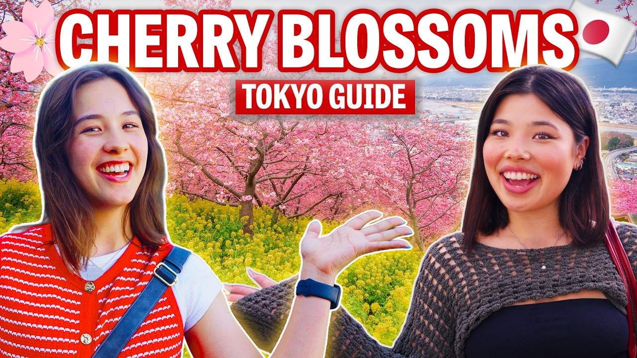 TOP TIPS to See Cherry Blossoms in Tokyo!