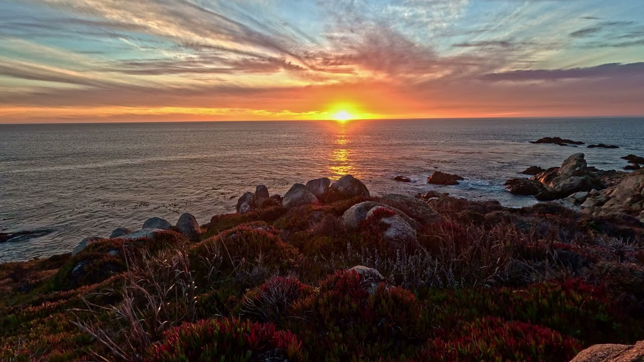 Colorful Pacific Ocean Sunset from high above w Succulents & Flocks of Migrating Birds, Big Sur, CA