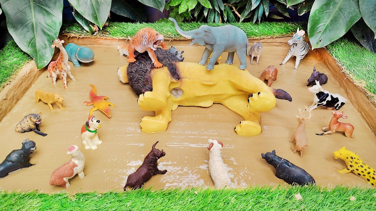 Tigers, Elephants Defeat Big Lion' Forest Animals and African Animals Stuck in Mud!