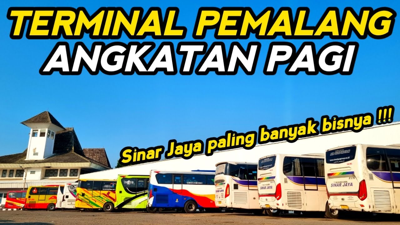 SINAR JAYA BISNYA PALING BANYAK 🔥 special moment angkatan pagi di terminal induk kota Pemalang