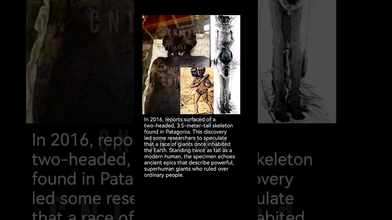 In 2016, reports surfaced of a two-headed, 3.5-meter-tall skeleton found in Patagonia.