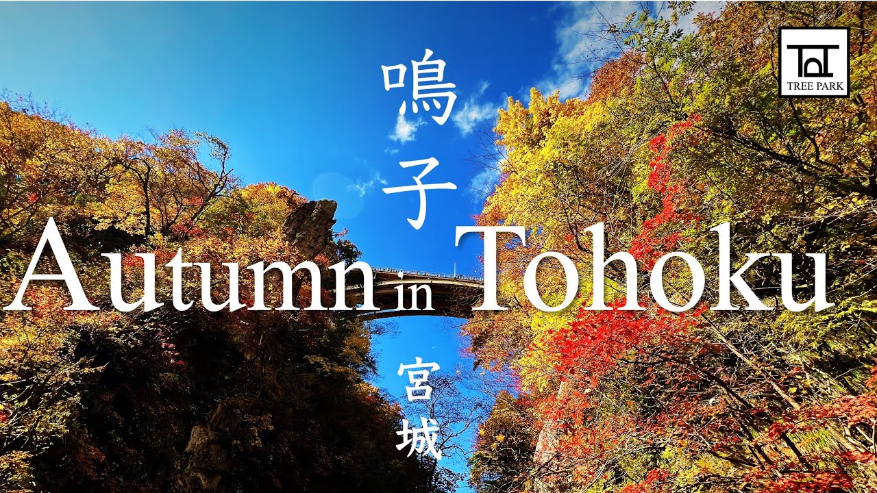 Autumn leaves in Tohoku, Explore the vibrant valley in Naruko Gorge to Naruko Onsen | 鳴子峡の紅葉、東北の秋