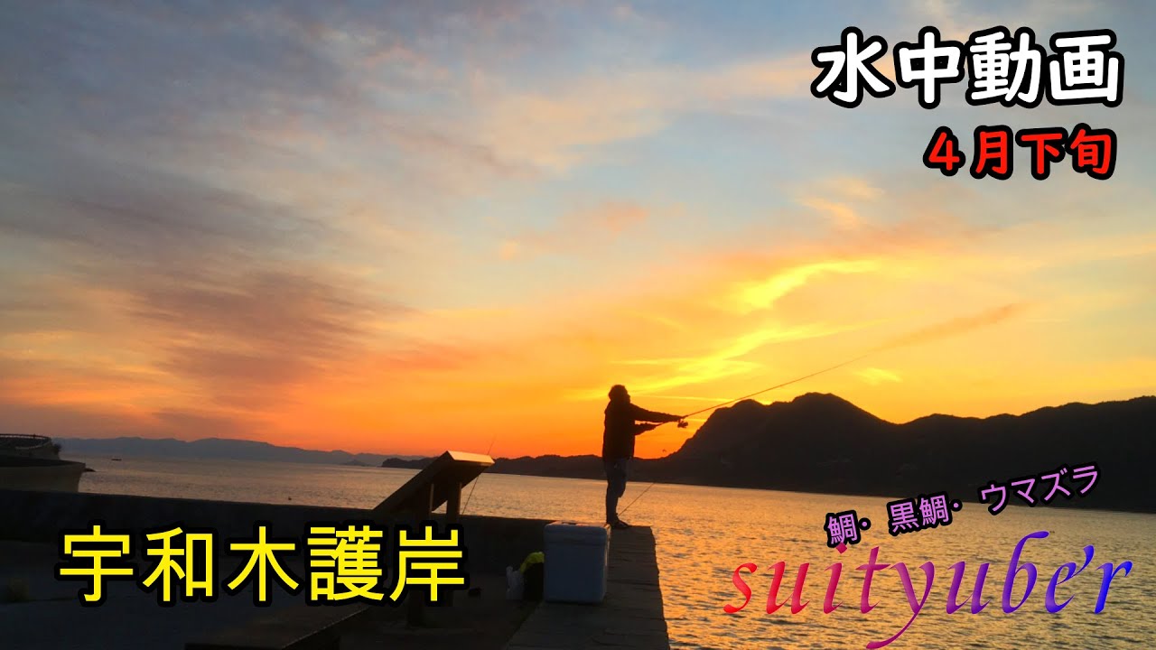 釣り人目線の水中動画　宇和木護岸（倉橋島）