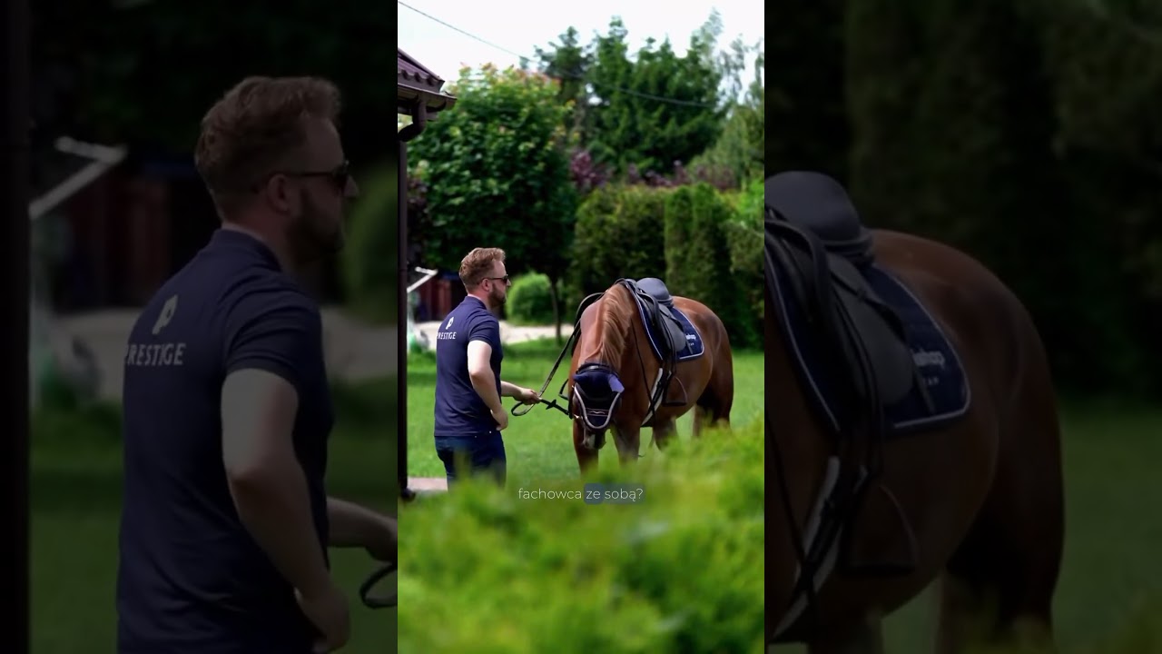 ❌ SIODŁO Z OGŁOSZENIA ❌ #horse #equestrian #saddlefitter #saddlefitting #siodło