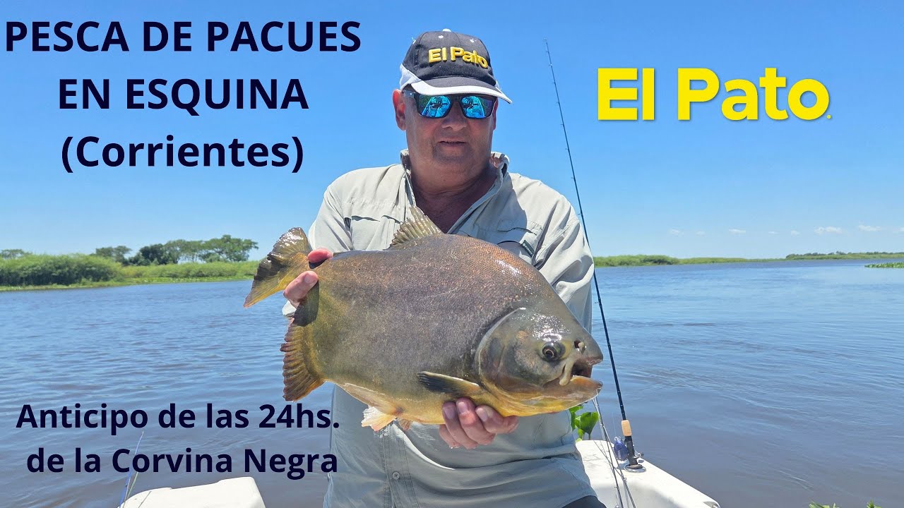 PESCA DE PACÚES EN ESQUINA en la previa a la Fiesta Nacional del Pacú - EL PATO TV 1224