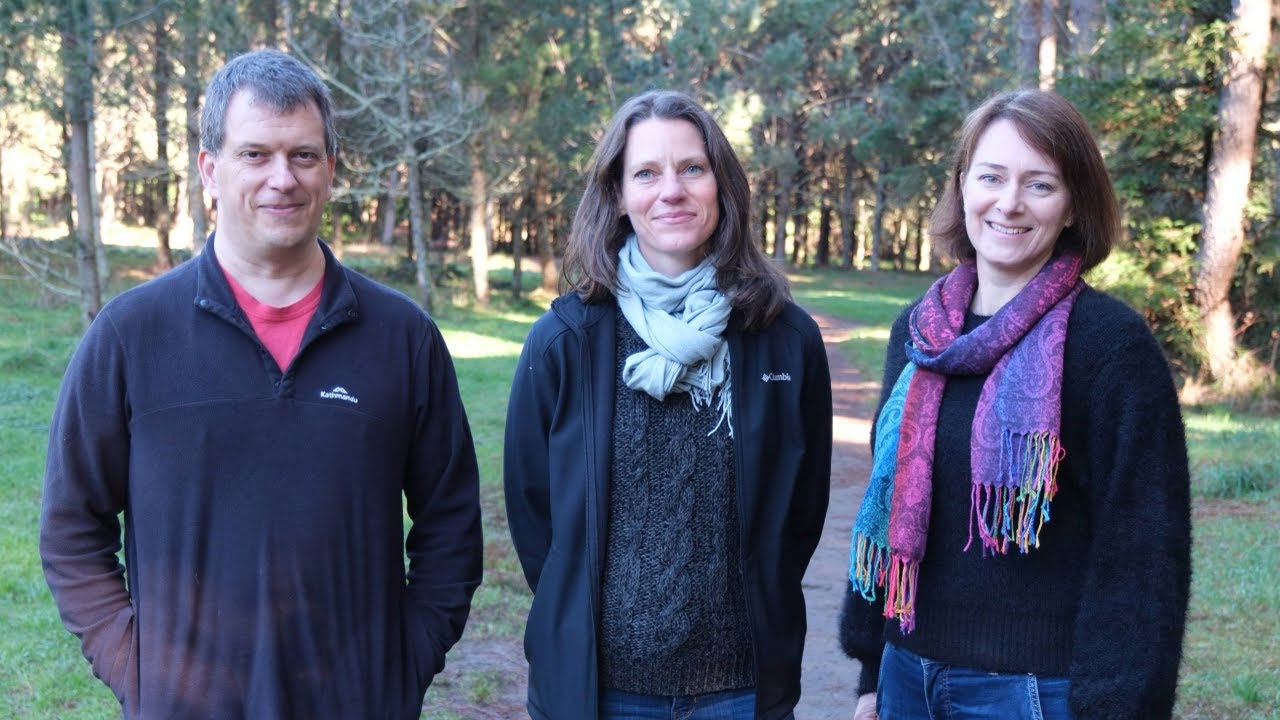 World-first radiata pine genome unlocks new era for forestry science