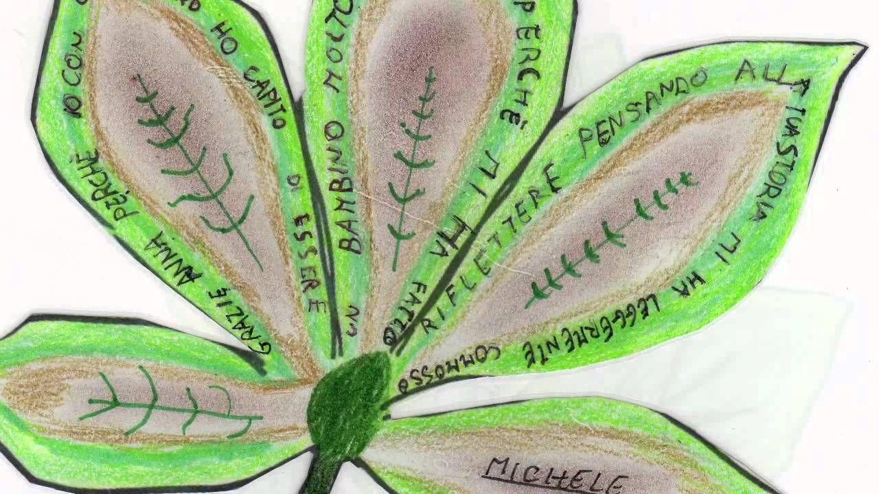 Le nostre foglie per l'Albero di Anne