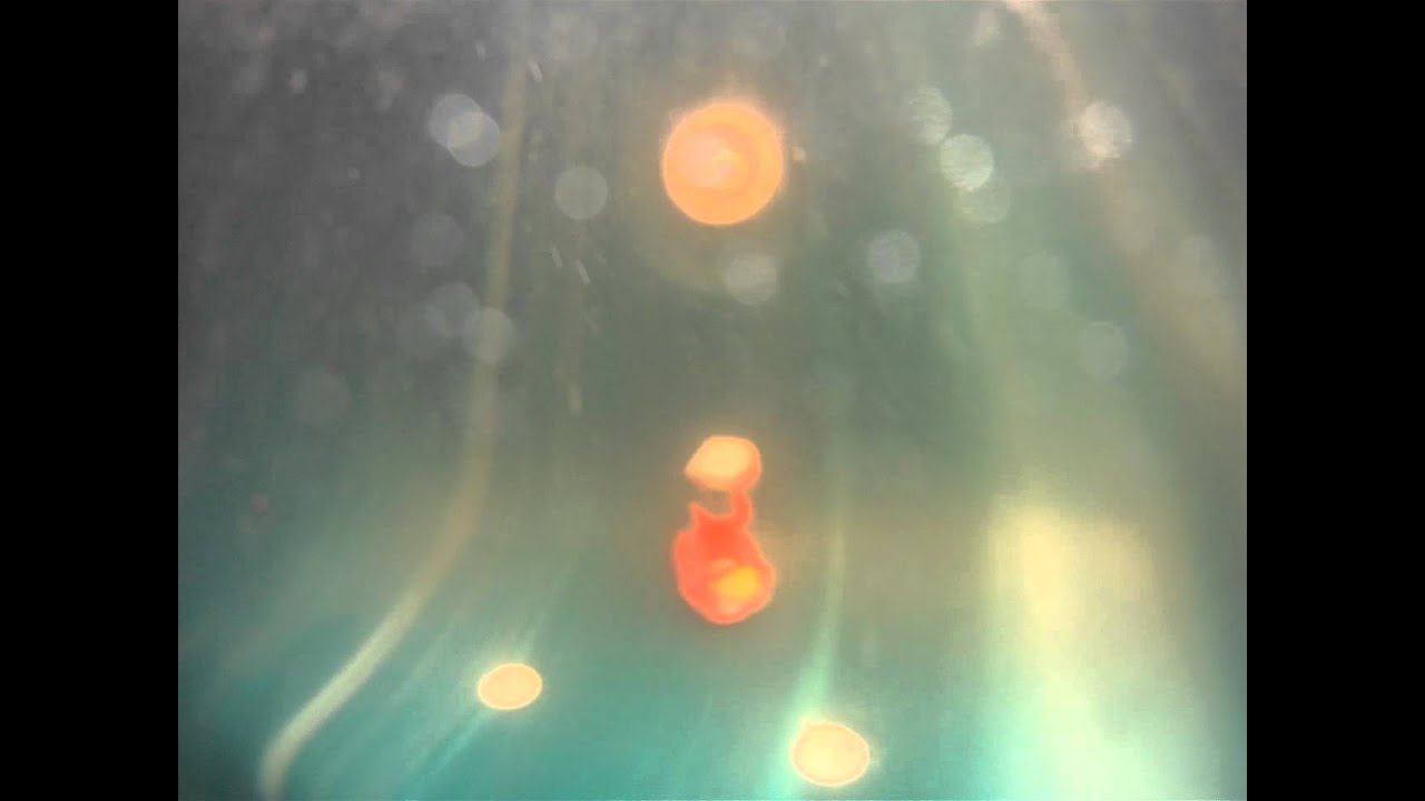 Knuckles in the Hot Tub