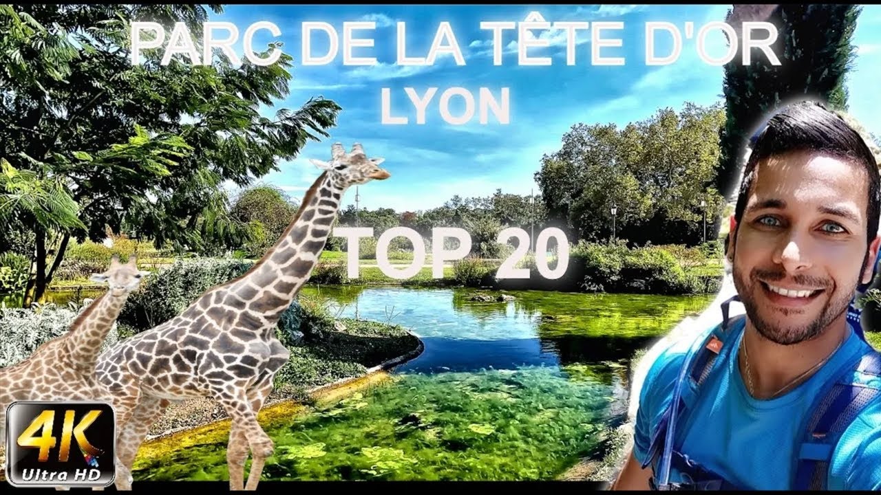 Quoi voir et faire au Parc de la Tête d'Or à Lyon ?
