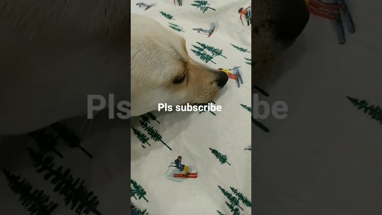 #shadow
