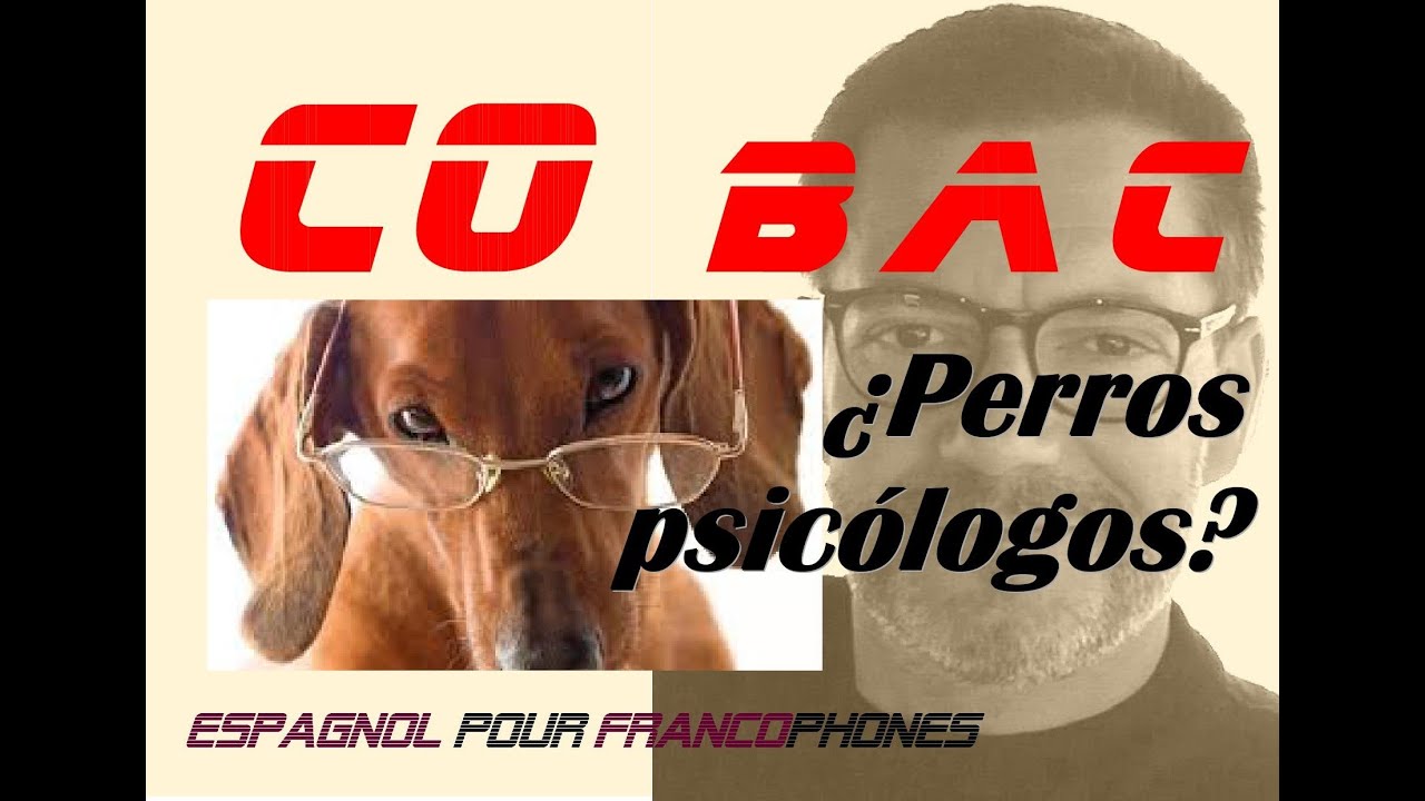 ENTRAINEMENT C.O. BAC ESPAGNOL AVEC CORRIGÉ EN FRANÇAIS ET EN ESPAGNOL 